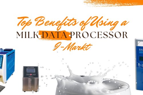 Top Benefits of Using a Milk Data Processor - bigbuyzone